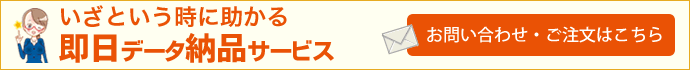 即日データ納品サービスお問い合わせ